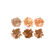 ANASTASIA  CK LIGHT MED  FACE 210G